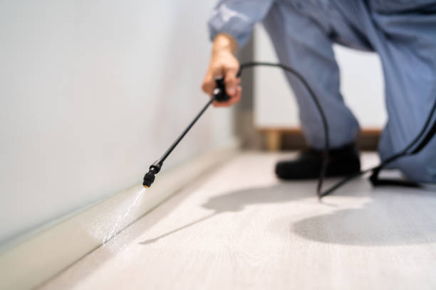 Licensed Pest Control service in Huntington, VA - Show Me Pest Control