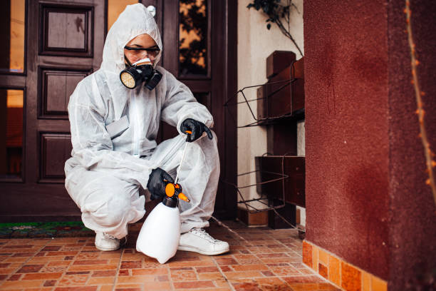 Reliable Wasp Removal contractor in Huntington, VA by Show Me Pest Control