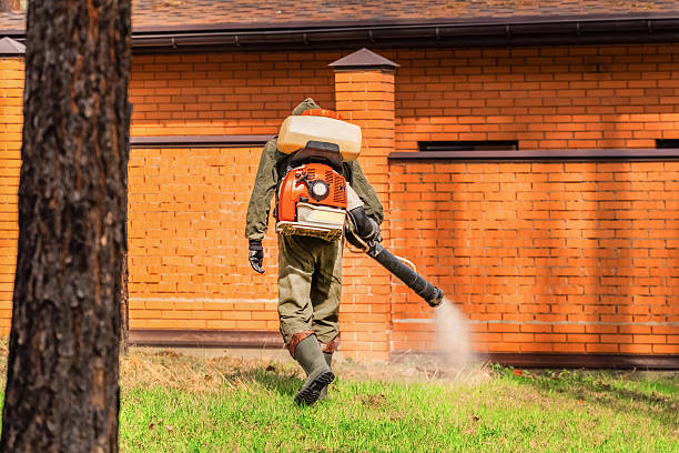Top rated local Wasp Removal specialists in Huntington, VA